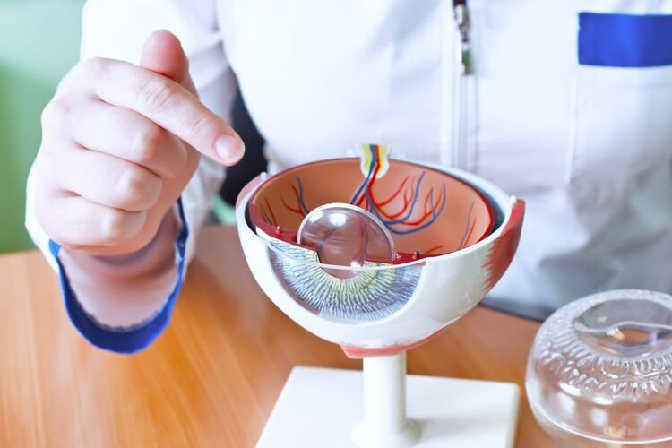 4D Phaco Cataract Surgery: Technology and Recovery